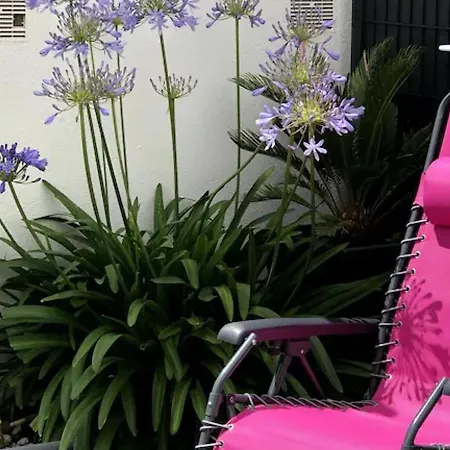 Rénové à Deux Pas De La Des Lutins - Terrasse Privée, Parking Et Animaux Acceptés - Fr-1-426-515 Apartamento