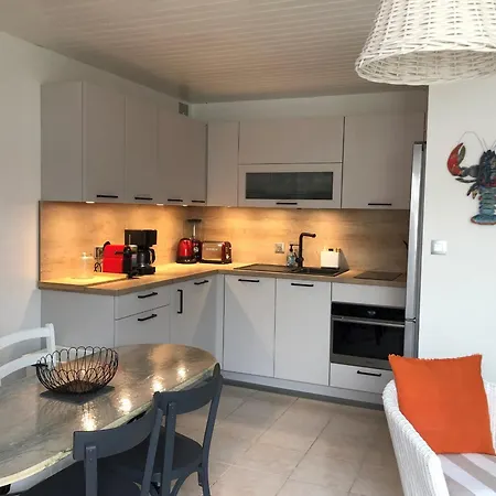 Renove A Deux Pas De La Des Lutins - Terrasse Privee, Parking Et Animaux Acceptes - Fr-1-426-515 Apartment