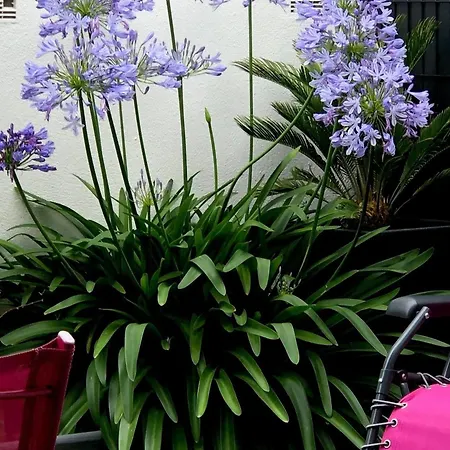 Renove A Deux Pas De La Des Lutins - Terrasse Privee, Parking Et Animaux Acceptes - Fr-1-426-515 * Noirmoutier-en-l'Ile