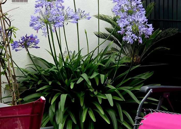 Noirmoutier-en-l'île, 2 Pièces, 2 Personnes - Fr-1-426-515 * Noirmoutier-en-l'Ile